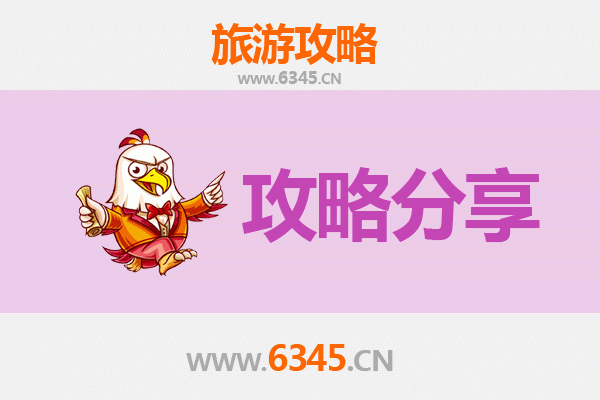 阳西旅游攻略：跟团与自由行全方位解析